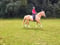 Annuncio cavallo
