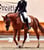 Horse ad