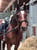 Horse ad