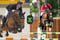 Annonce cheval