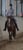 Horse ad