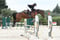 Annuncio cavallo