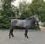 Horse ad