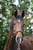 Annuncio cavallo