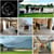 Ogłoszenie konia