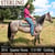 Annuncio cavallo