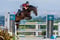 Horse ad