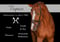 Anuncio de caballos