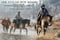Horse ad