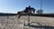Horse ad