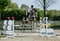 Annuncio cavallo
