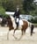 Horse ad