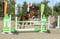 Annuncio cavallo