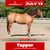 Annuncio cavallo