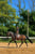 Paardadvertentie