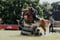 Horse ad