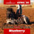 Horse ad