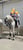 Annuncio cavallo