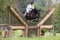 Horse ad