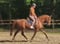 Horse ad