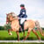 Horse ad