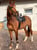 Horse ad