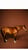 Annuncio cavallo