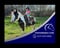 Horse ad