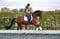 Annuncio cavallo