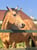 Horse ad