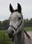 Annonce cheval