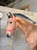 Horse ad