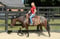Horse ad