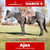 Horse ad