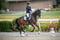 Horse ad