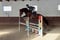 Horse ad