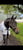 Annonce cheval