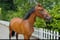 Horse ad