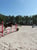 Annuncio cavallo