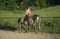 Horse ad