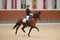 Horse ad