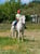 Horse ad