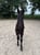 Horse ad