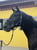 Annuncio cavallo