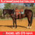 Horse ad