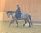 Annuncio cavallo