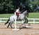 Annuncio cavallo