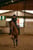 Annuncio cavallo