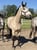Annuncio cavallo