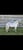 Horse ad